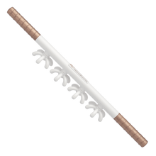 Load image into Gallery viewer, FasciaBlaster
